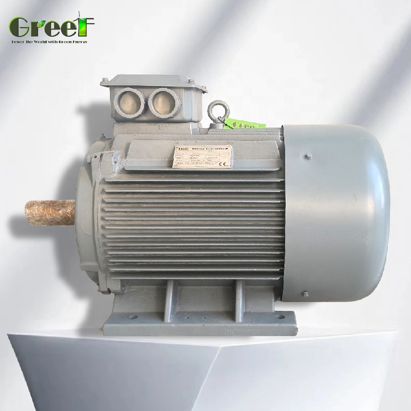 Gerador de Ímã Permanente de B - Renewable Energy Hydro avaliação e preço
